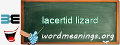 WordMeaning blackboard for lacertid lizard